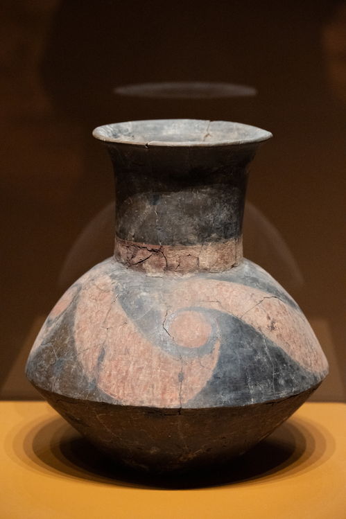 陶寺遗址前领队何努 从 观象台 说起,尧为什么定都陶寺 专访