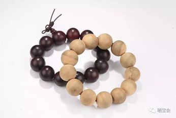 0元起淘宝 陶齿活动火热进行中